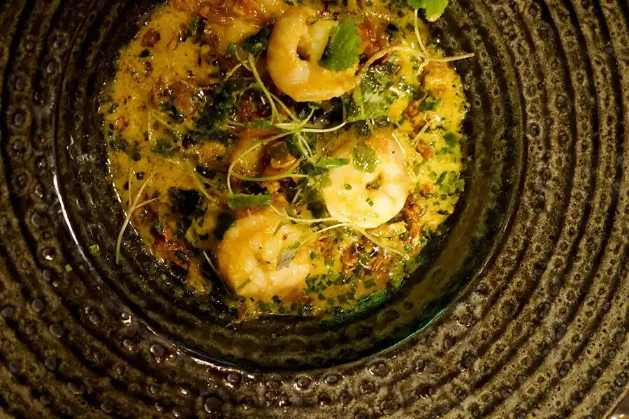 gal_1_11zon gal_1_11zon